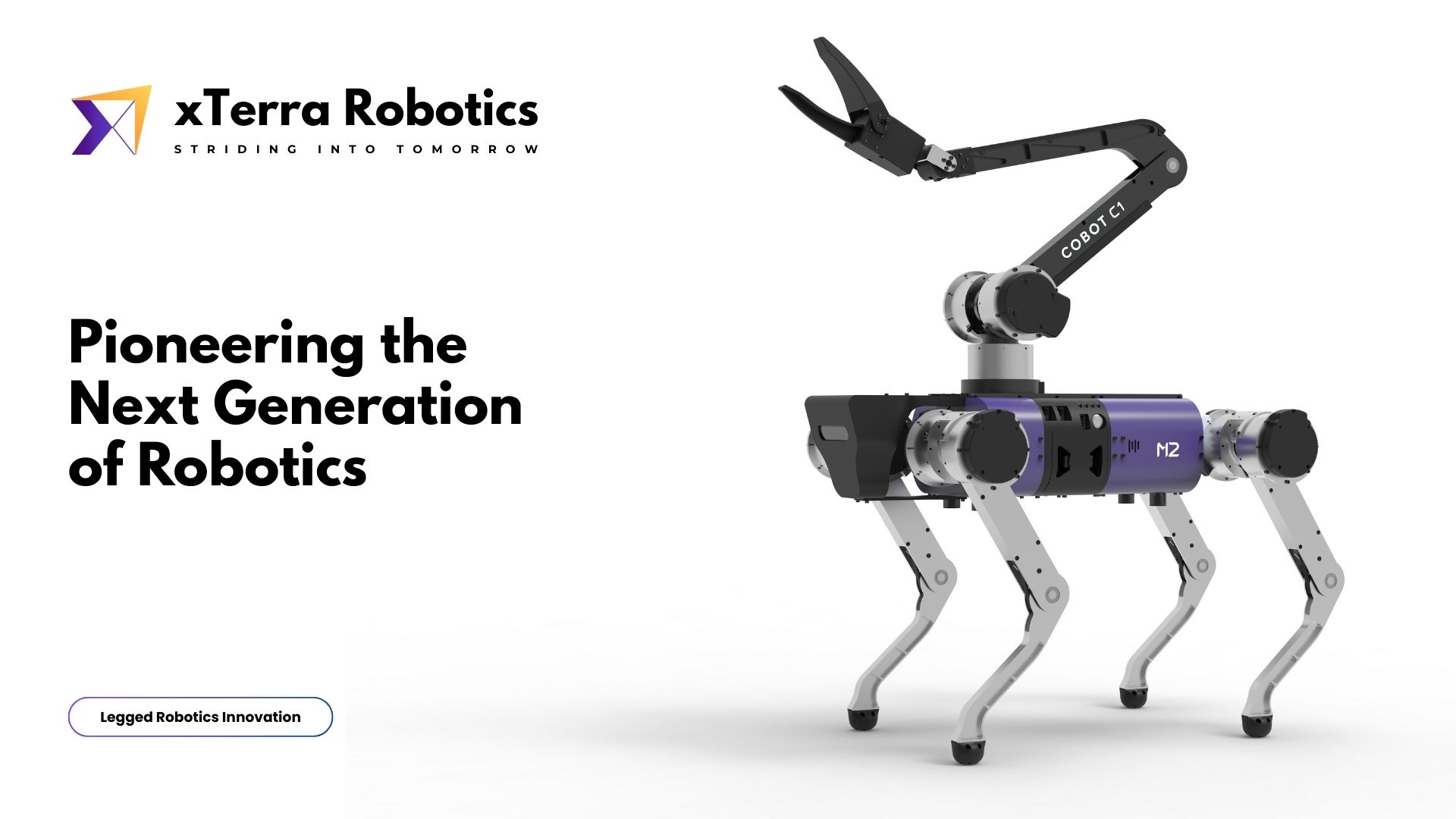 Why Legged Robotics?