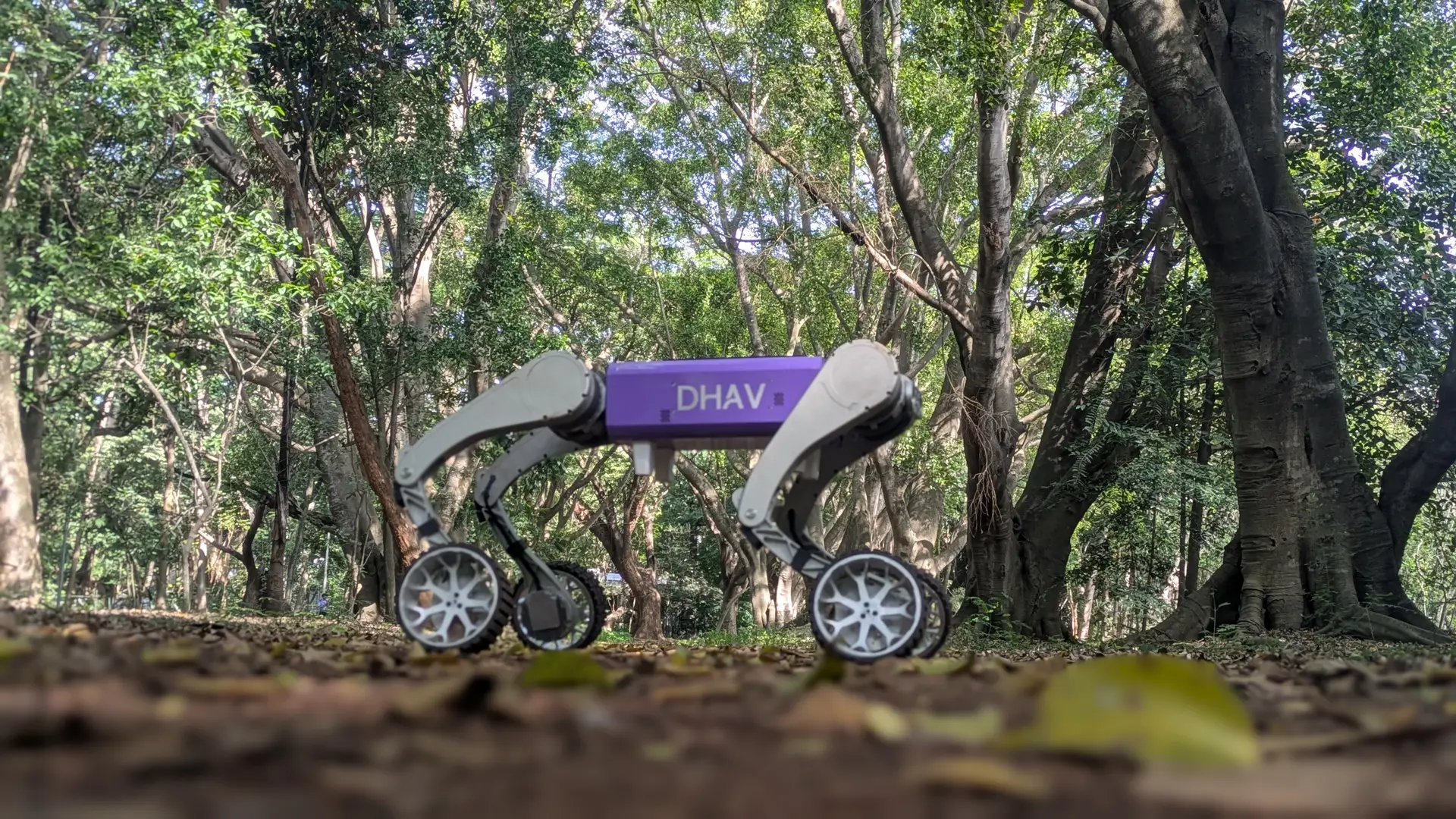 DHAV-Hy wheeled-legged robot standing on hub-drive wheels in a forest, xTerra Robotics