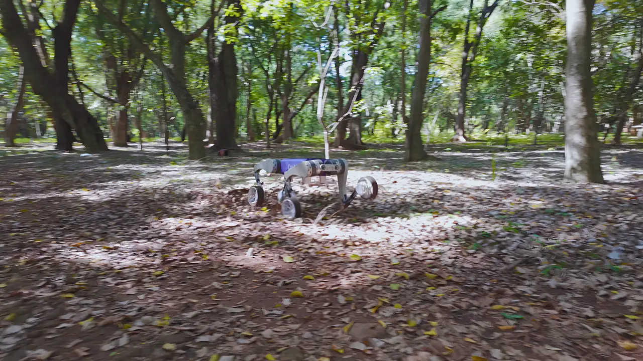 DHAV-Hy wheeled-legged robot rolling at speed across open forest ground