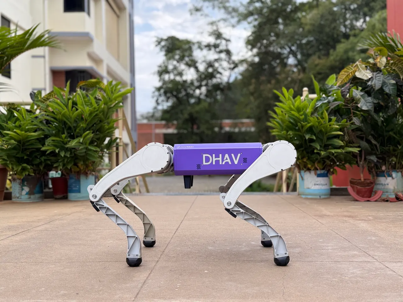 DHAV quadruped robot standing outdoors