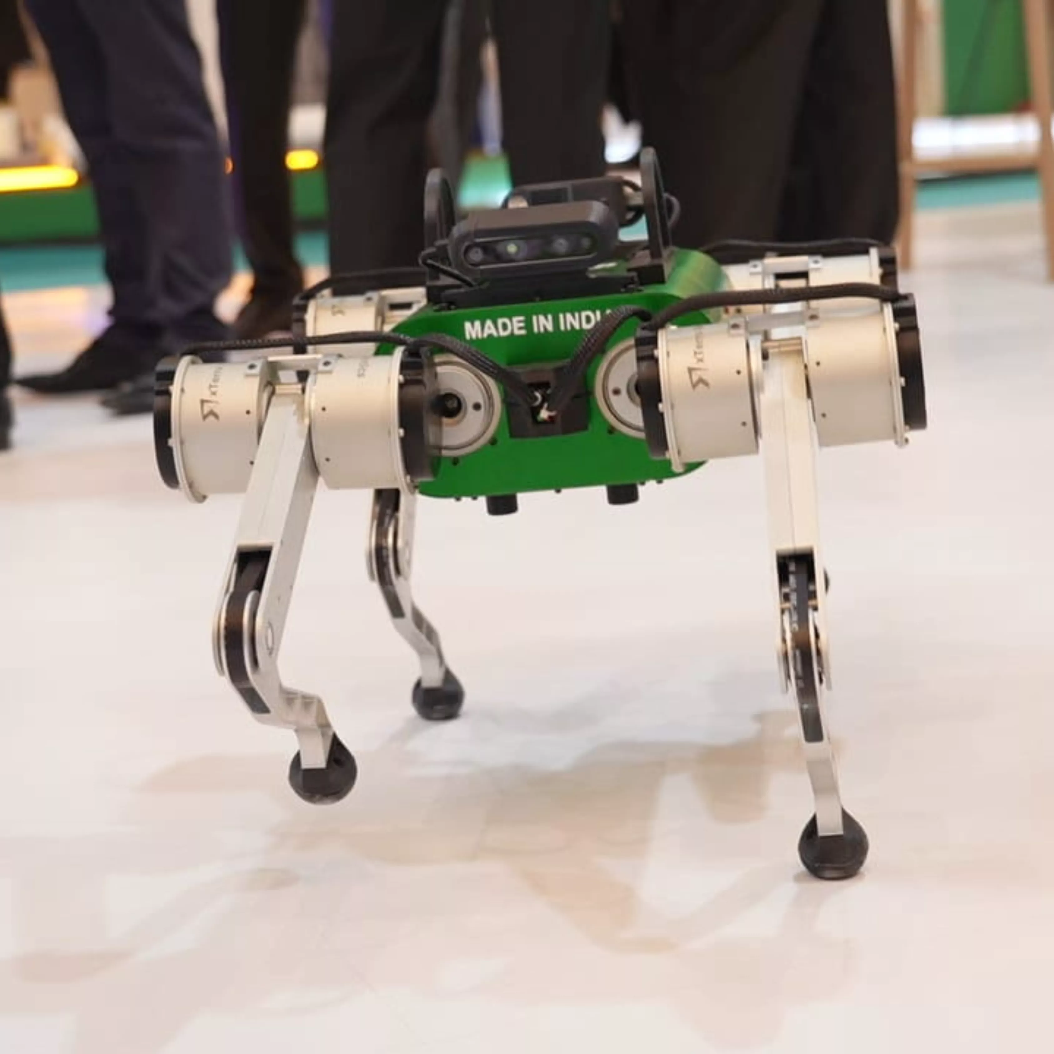 Development Milestone 12